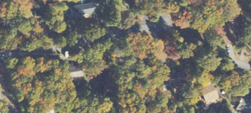 Flat Wooded Residential Lot
