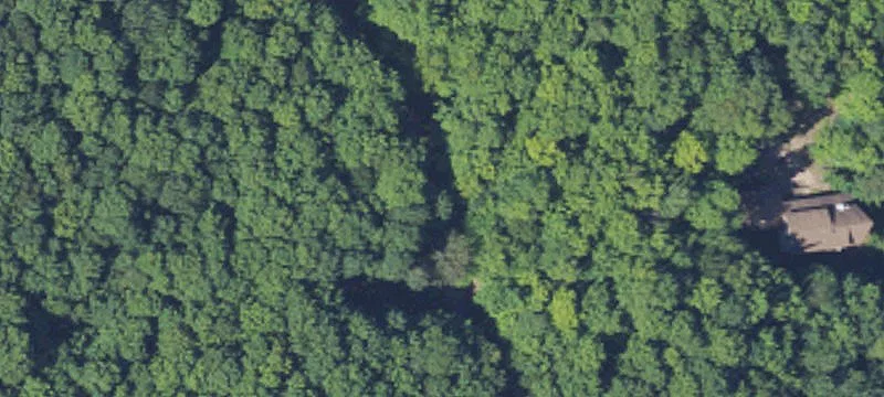 Wooded Residential Building Lot