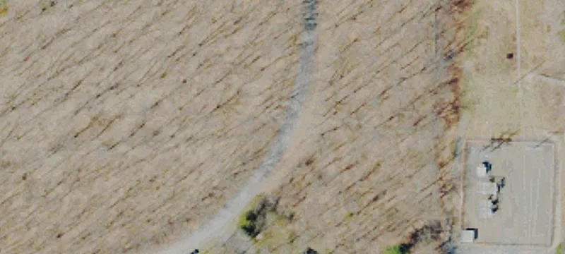 Level Wooded Residential Lot