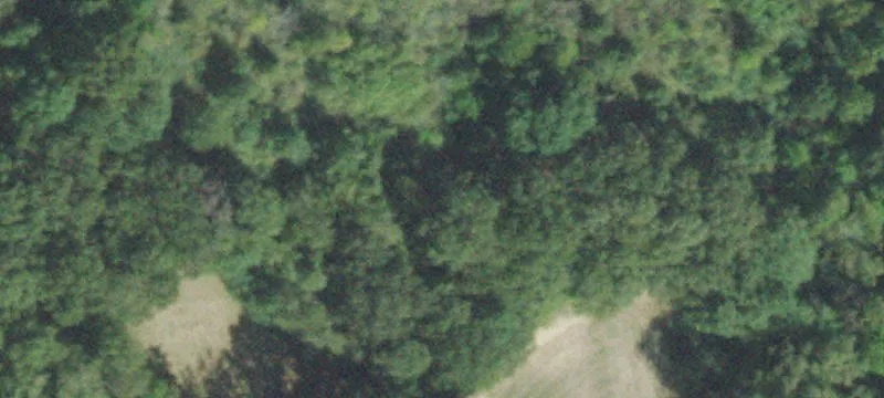 Farmland For Sale