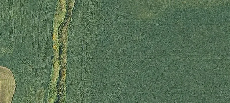 Productive Farmland Investment