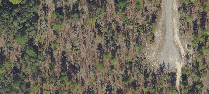 Residential Building Lot in Citrus Springs