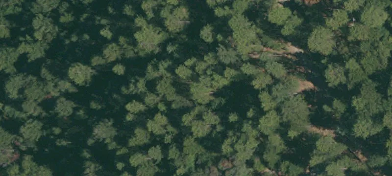 Forested Residential Development Land