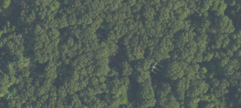 Wooded Residential Build Site