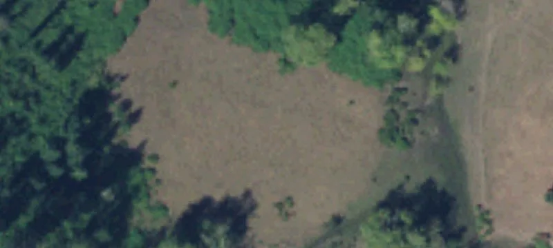 Timber Investment Farmland