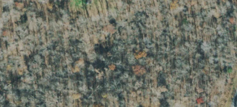 Lightly Wooded Cul-de-Sac Homesite