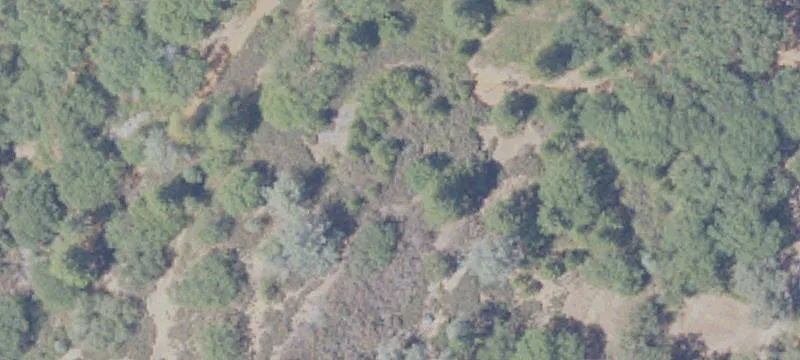 Agricultural Land Parcel