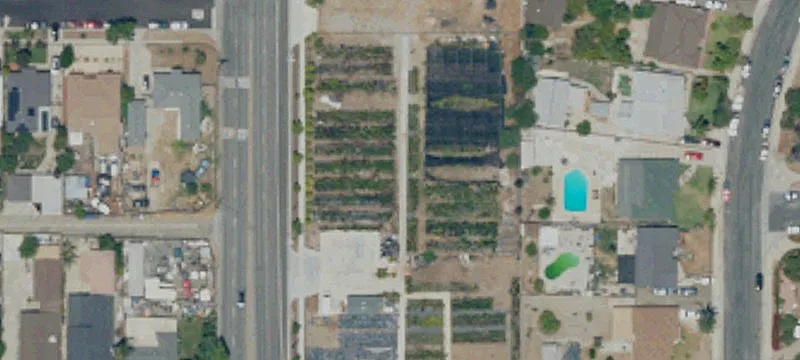 Development Land with Nursery Trees