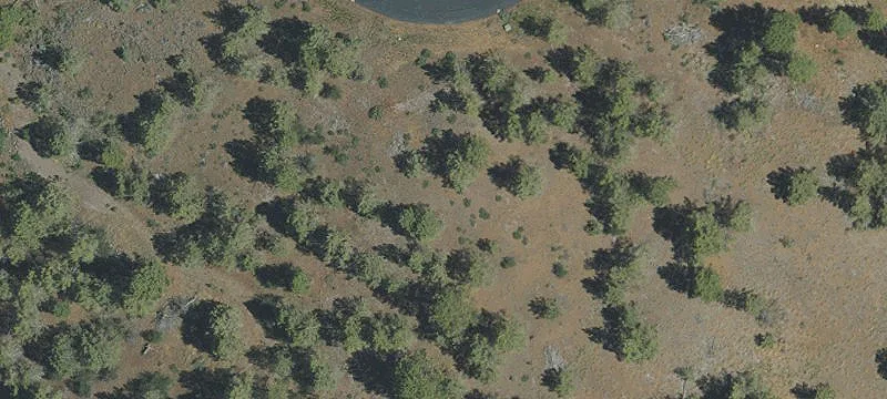 Gated Firewise Community Homesite