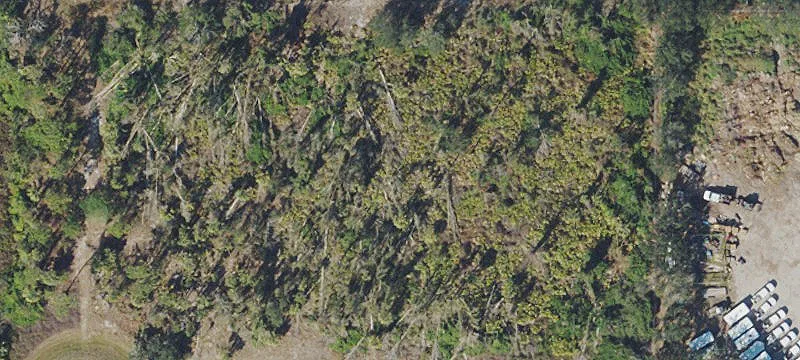 Deed-Restricted Industrial Land Lots