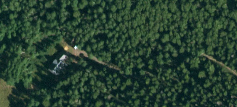 Wooded Mountain Cabin Lot