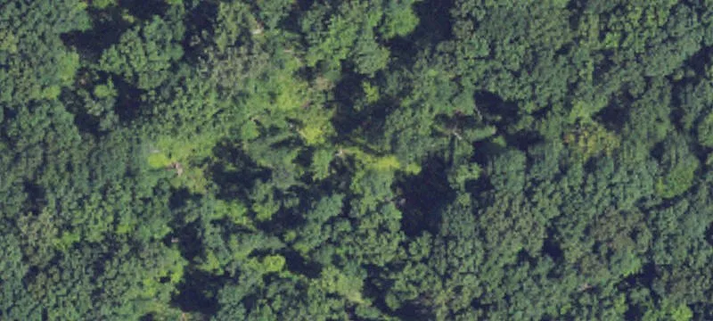 Residential Land with Tear-Down Home