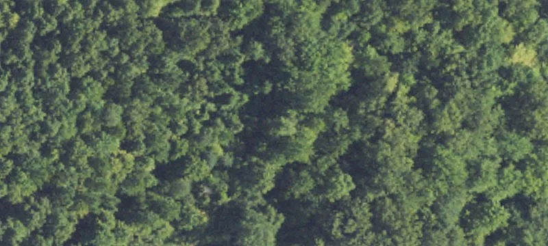 Agricultural Land Parcel
