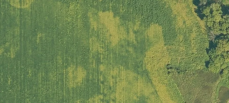 Residential Wooded Lot