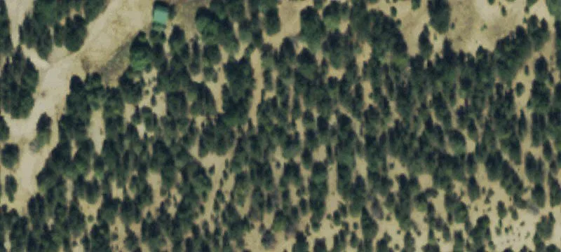 Custom Log Ranch with Livestock Facilities