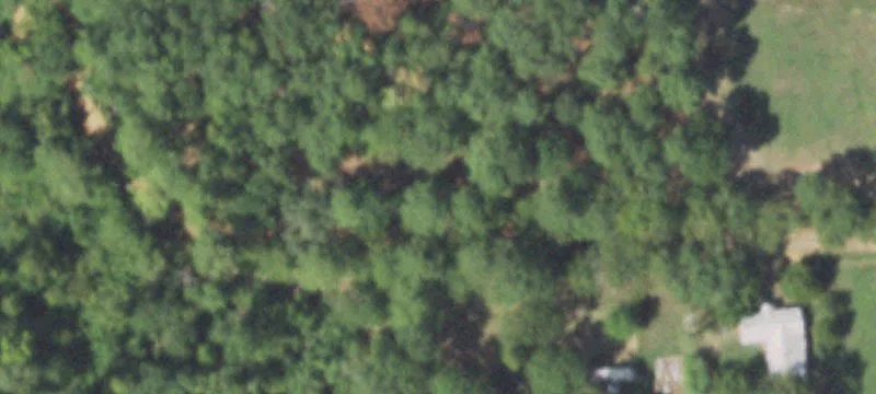 Timber-Covered In-City Land Tract