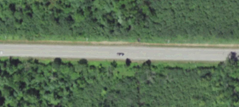 Waterfront Recreational Land Parcel