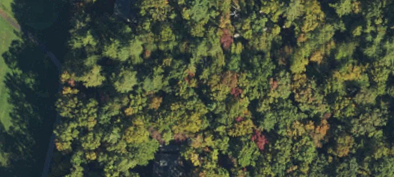 Two Adjoining Lakefront Lots