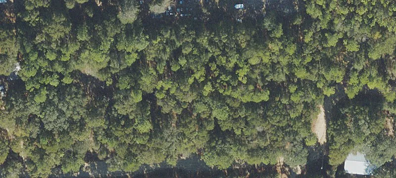 Rural Acreage with Septic Approved