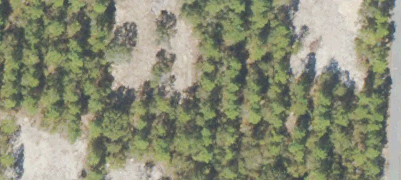 Wooded Residential Home Lot