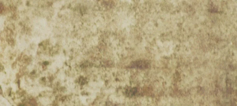Agricultural Land Parcel