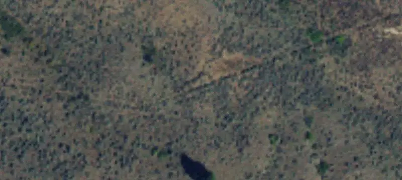 Build-Ready Forested Land