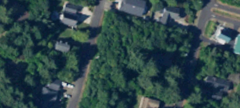 Partially Cleared Coastal Home Lot