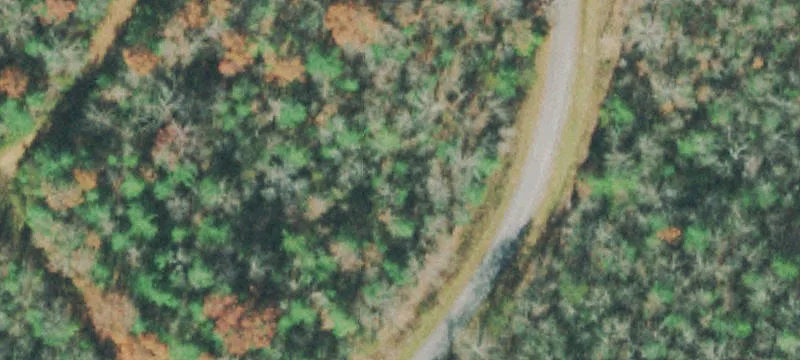 Residential Homesite in Resort Community