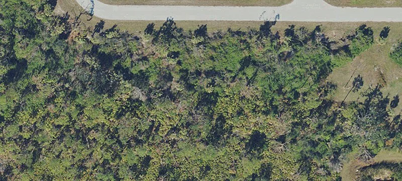 Multifamily Vacant Lot