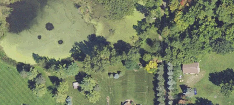 Wooded Residential Home Lot