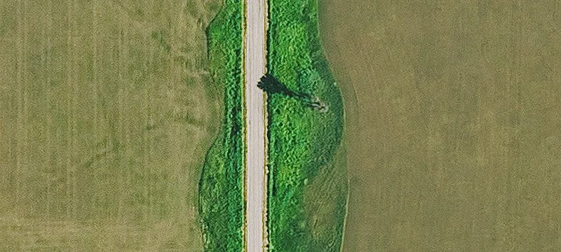 Recreational Farm Tract with Cropland