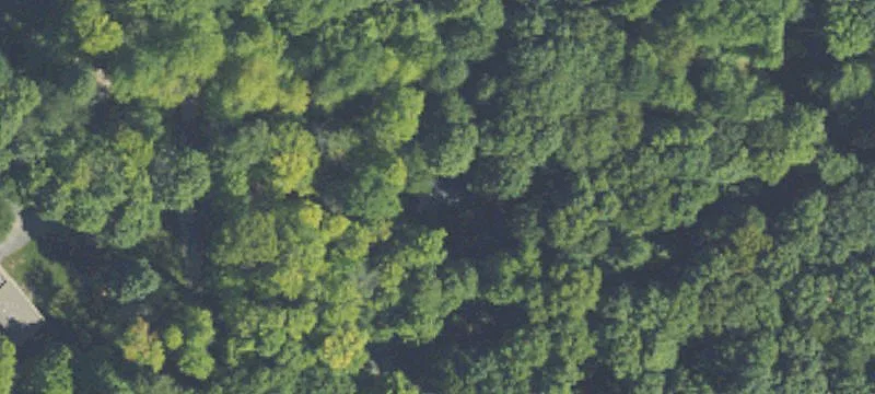 Wooded Residential Building Lot