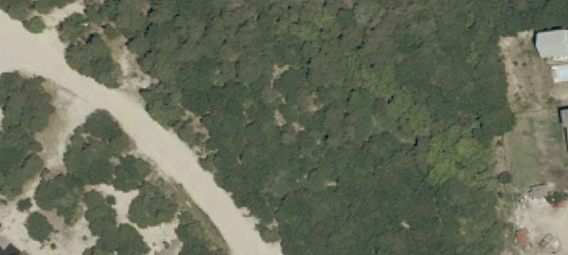 Wooded 4x4 Beach Community Lot
