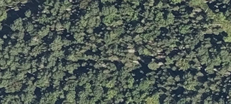 Wooded Recreational Land with Road Access