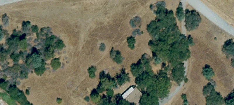 Fenced Equestrian Ranch Estate
