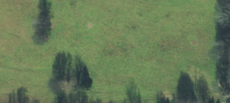 32+ Acre Agricultural Property