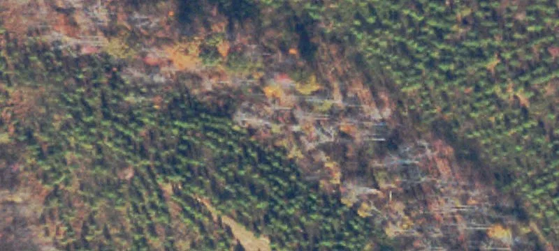 Residential Building Lot
