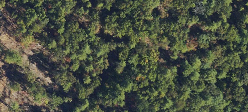 Wooded Mountain Home Site