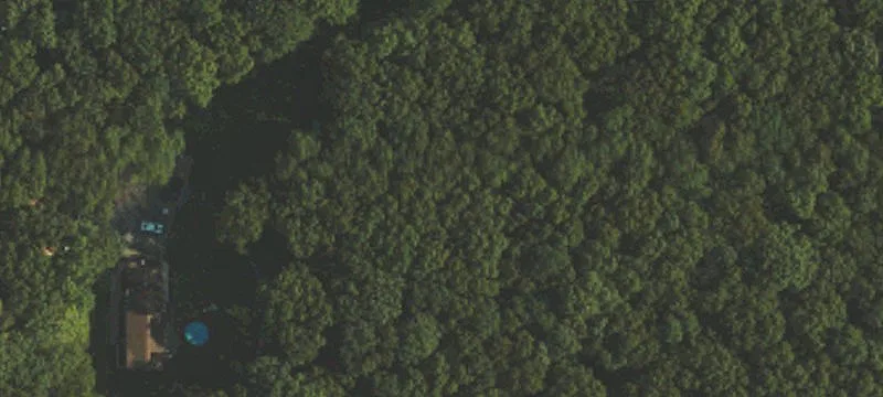 Wooded Residential Development Lot