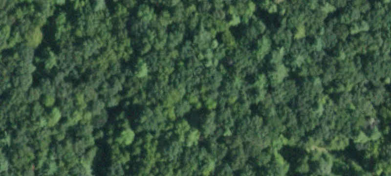 Level Acreage with Well