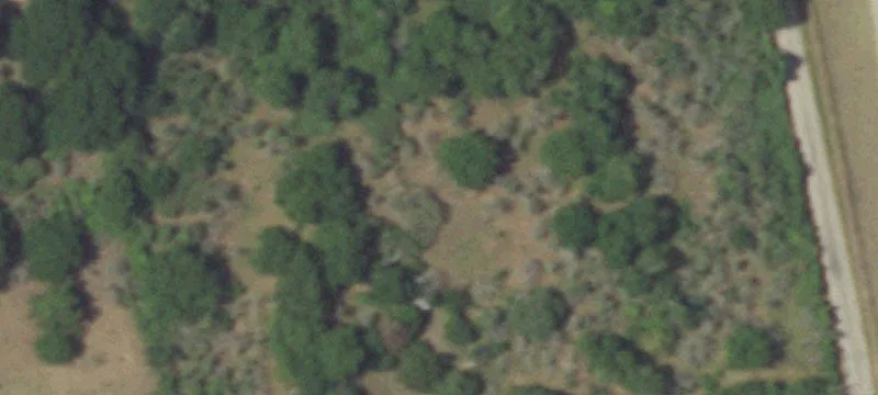 Acreage Homesite with Ravine