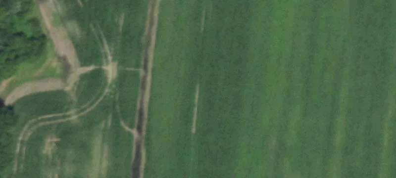 Farmland with Pond