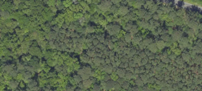 Land Parcel Zoned Residential/Commercial