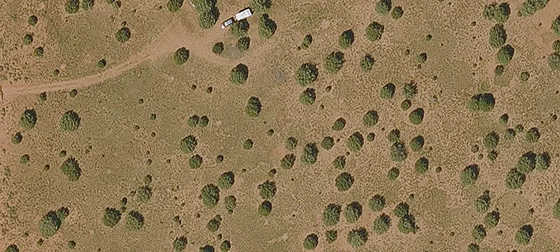 Treed Agricultural Land Parcel