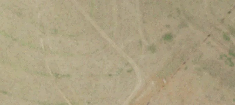 Wooded Pasture Hunting Tract Land
