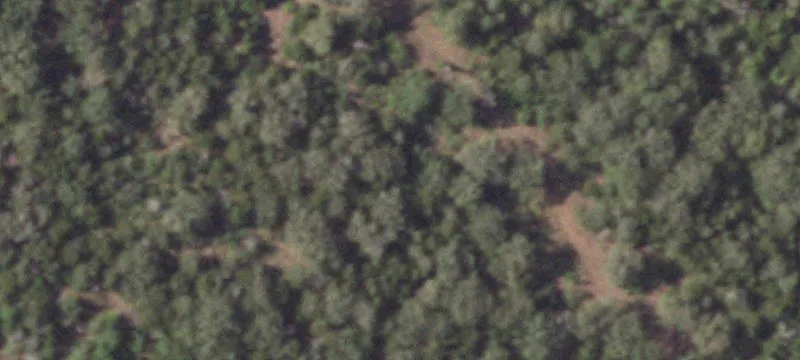 Duplex on 10 Acres
