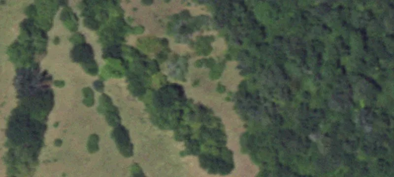 Ranch Land with Current Cattle Use