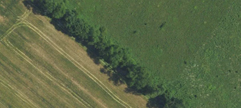 Cleared & Wooded Residential Land