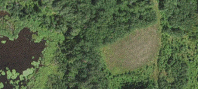 Hunting Land with Wildlife Pond
