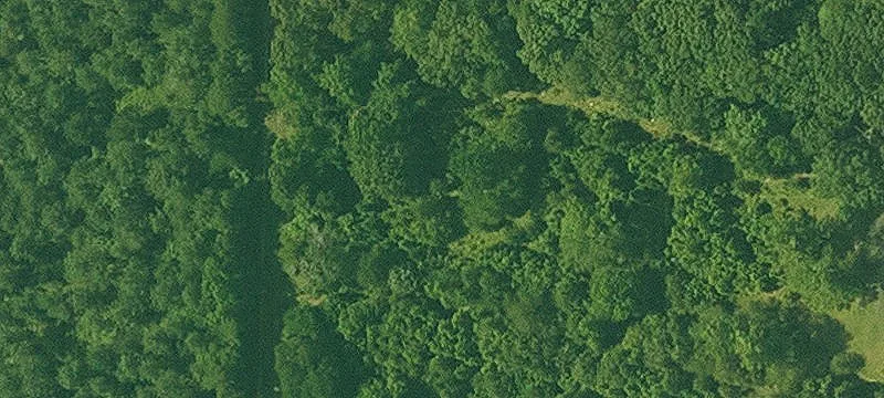 Unrestricted Pasture & Development Land